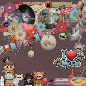 The Cats Meow