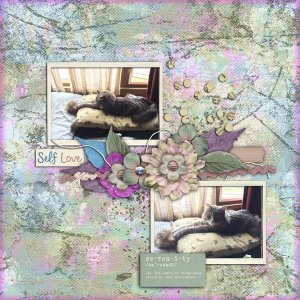 Shadow the Zen Cat