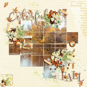 colorful days of fall