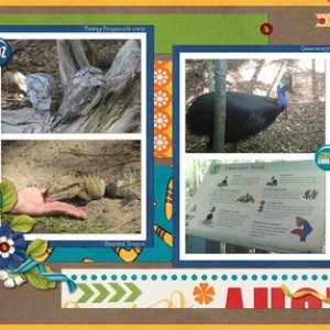 Nothing like Australia Zoo