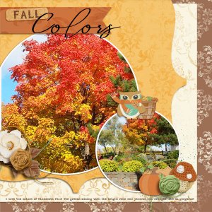 DFD_SoLittleTime2-tmd-fall-hoot