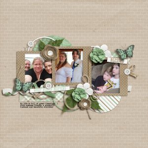 LRT_brightside-bhs-mini-kit