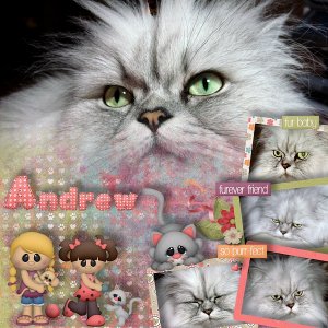 The Cat