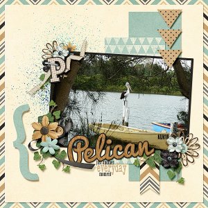 P is for Pelican