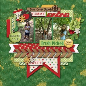 Apple Picking