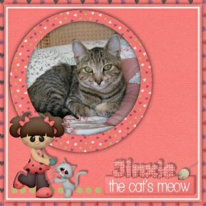 The Cat's Meow