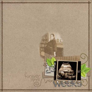 23 Weeks