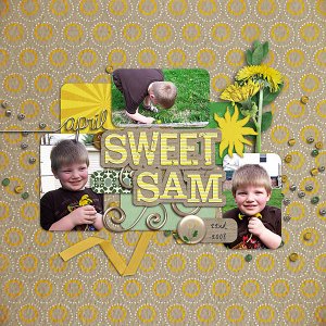 Sweet Sam