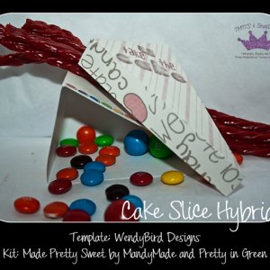 Cake Slice Hybrid