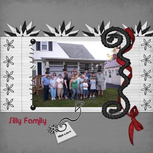 Silly Family