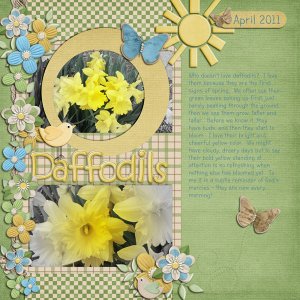 Daffodils
