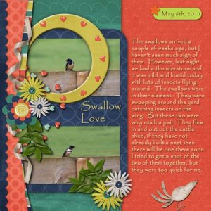 Swallow Love