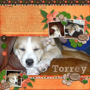 Torrey