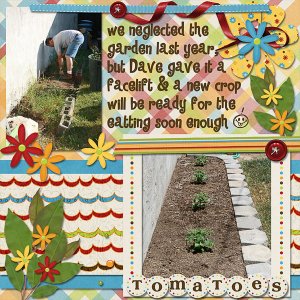 Garden Redo