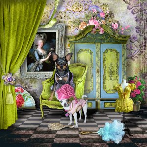 Petunia Antoinette