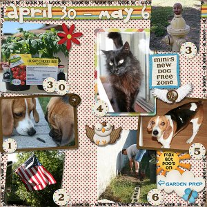 Lisa's Week Eighteen