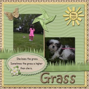 Grass