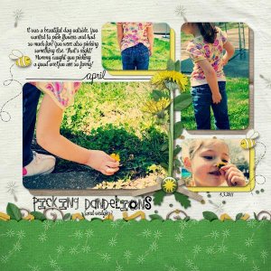 Dandelions