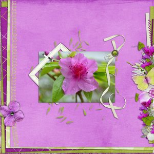Fuchsia Lime