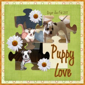 Puppy Love