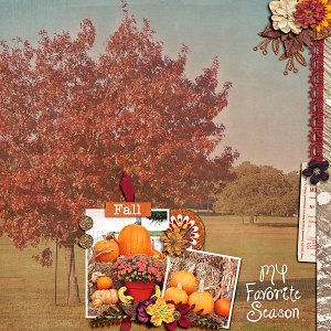 My Favorite Season