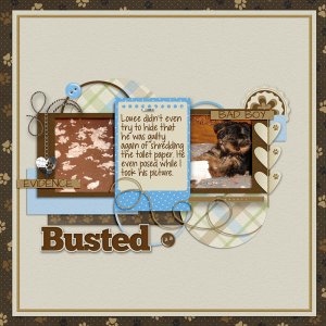 Busted