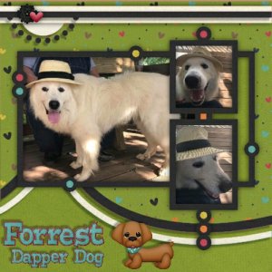 Pampered Pooch