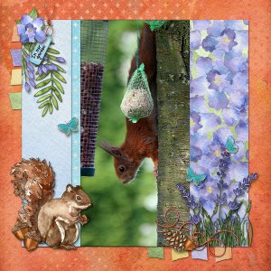 Squirrel