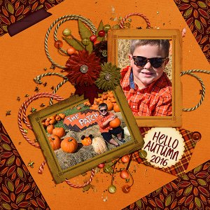 Pumpkin Patch