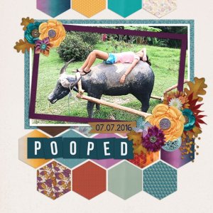 Pooped