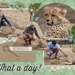 Cheetah cubs