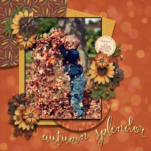 Autumn Splendor