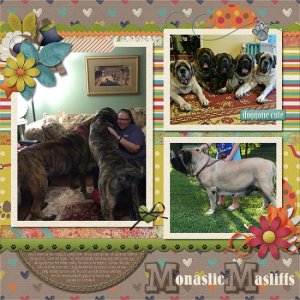 Monastic_Mastiffs