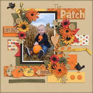 The Patch