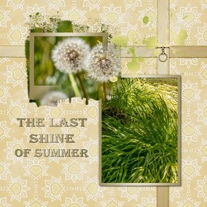 The Last Shine of Summer