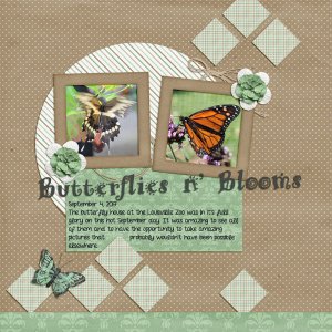 Butterflies and Blooms