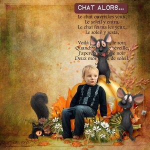 Chat alors