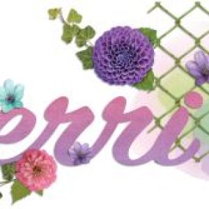 Sherri Siggy