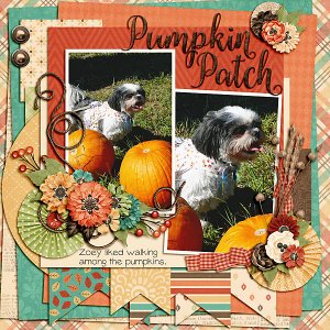Pumpkin Patch