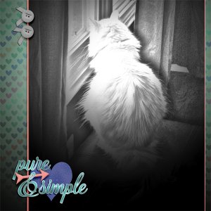 Pure + Simple Love