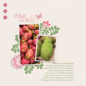Exotic Fruits