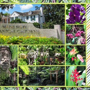 Selby Gardens2