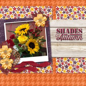 Shades of Autumn