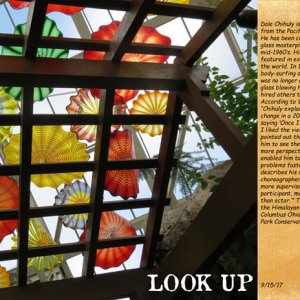 Look Up