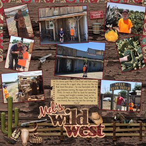2017 Mels Wild West