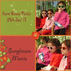 Sunglasses Mania