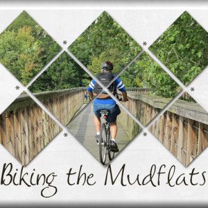 Biking the Mudflats