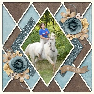 Must Love Horses
