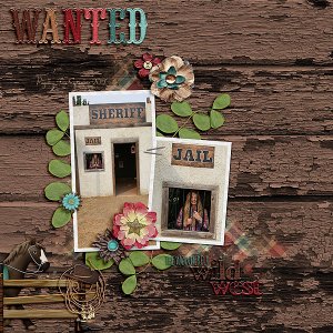 Wonderful Wild West