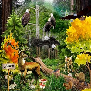 CT_JulieC_Designs_-_600_4